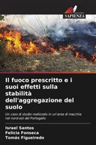 Tomás Figueiredo, Felícia Fonseca, Israel Santos - Il fuoco prescritto e i suoi effetti sulla stabilità dell'aggregazione del suolo