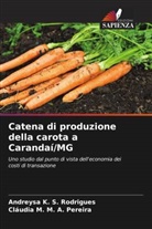 Andreysa K. S. Rodrigues, Cláudia M. M. A. Pereira - Catena di produzione della carota a Carandaí/MG