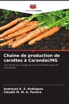 Andreysa K. S. Rodrigues, Cláudia M. M. A. Pereira - Chaîne de production de carottes à Carandaí/MG