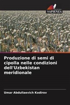 Umar Abdullaevich Kodirov - Produzione di semi di cipolla nelle condizioni dell'Uzbekistan meridionale