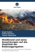 Tomás Figueiredo, Felícia Fonseca, Israel Santos - Waldbrand und seine Auswirkungen auf die Stabilität der Bodenaggregation