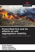 Tomás Figueiredo, Felícia Fonseca, Israel Santos - Prescribed fire and its effects on soil aggregation stability