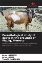 Taoufik Hassouni, Driss Lamri, Driss LAMRIOUI - Parasitological study of goats in the province of Figuig, Morocco