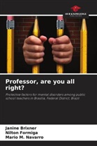 Janine Brixner, Nilton Formiga, Mario M. Navarro - Professor, are you all right?