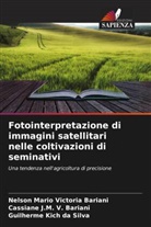 Guilherme Kich da Silva, Cassiane J. M. V. Bariani, Cassiane J.M. V. Bariani, Nelson Mario Victoria Bariani - Fotointerpretazione di immagini satellitari nelle coltivazioni di seminativi