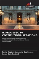 César Calo Peghini, Paulo Rogério Venâncio dos Santos - IL PROCESSO DI COSTITUZIONALIZZAZIONE: