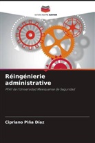 Cipriano Piña Díaz - Réingénierie administrative