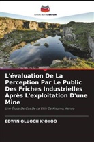 Edwin Oluoch K¿Oyoo, Edwin Oluoch K'Oyoo - L'évaluation De La Perception Par Le Public Des Friches Industrielles Après L'exploitation D'une Mine