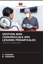 P. Shamini, B. Vijendar - GESTION NON CHIRURGICALE DES LÉSIONS PÉRIAPICALES