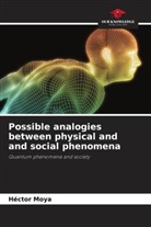Héctor Moya - Possible analogies between physical and and social phenomena