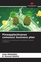 B. Romaël Badou, Saba Dewanou - Pineapple(Ananas comosus) business plan