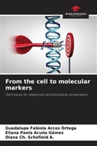 Eliana Paola Acuña Gómez, Guadalupe Fabiola Arcos Ortega, Diana Ch. Schofield A. - From the cell to molecular markers