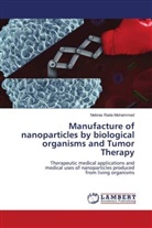 Nebras Rada Mohammed - Manufacture of nanoparticles by biological organisms and Tumor Therapy