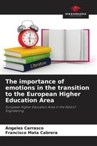 Ángeles Carrasco, Francisco Mata Cabrera - The importance of emotions in the transition to the European Higher Education Area