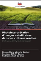 Guilherme Kich da Silva, Cassiane J. M. V. Bariani, Cassiane J.M. V. Bariani, Nelson Mario Victoria Bariani - Photointerprétation d'images satellitaires dans les cultures arables
