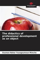 Ousman Nahar Youngoumoun Mimche - The didactics of professional development as an object