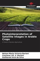 Guilherme Kich da Silva, Cassiane J. M. V. Bariani, Cassiane J.M. V. Bariani, Nelson Mario Victoria Bariani - Photointerpretation of Satellite Images in Arable Crops