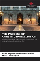 César Calo Peghini, Paulo Rogério Venâncio dos Santos - THE PROCESS OF CONSTITUTIONALIZATION: