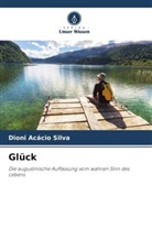 Dioni Acácio Silva - Glück