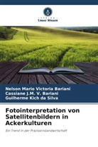 Guilherme Kich da Silva, Cassiane V Bariani, Cassiane J. M. V. Bariani, Cassiane J.M. V. Bariani, Nelson Mario Victoria Bariani - Fotointerpretation von Satellitenbildern in Ackerkulturen
