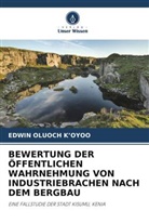 Edwin Oluoch K¿Oyoo, EDWIN OLUOCH KOYOO, Edwin Oluoch K'Oyoo - BEWERTUNG DER ÖFFENTLICHEN WAHRNEHMUNG VON INDUSTRIEBRACHEN NACH DEM BERGBAU