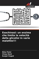 Vinay Darji, Ekta Patel, Kunjal Vegad - Esochinasi: un enzima che limita la velocità della glicolisi in varie malattie!!!