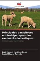 José Manuel Martínez Pérez, Isabel Mauriz Turrado - Principales parasitoses entérohépatiques des ruminants domestiques