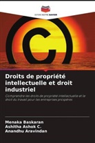 Anandhu Aravindan, Ashitha Ashok C., Menaka Baskaran - Droits de propriété intellectuelle et droit industriel