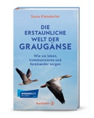 Sonia Kleindorfer, Patricia McAllister-Käfer - Die erstaunliche Welt der Graugänse