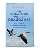 Sonia Kleindorfer, Patricia McAllister-Käfer - Die erstaunliche Welt der Graugänse