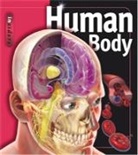 Linda Calabresi - Insiders - Human Body