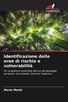 Mario Monti - Identificazione delle aree di rischio e vulnerabilità