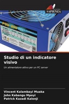 John Kabangu Mpoyi, Vincent Kalambayi Muaka, Patrick Kazadi Kalonji - Studio di un indicatore visivo