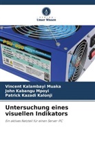 John Kabangu Mpoyi, Vincent Kalambayi Muaka, KAZAD, Patrick Kazadi Kalonji - Untersuchung eines visuellen Indikators