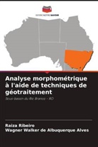 Wagner Walker de Albuquerque Alves, Raiza Ribeiro - Analyse morphométrique à l'aide de techniques de géotraitement