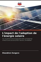 Shandirai Zongoro - L'impact de l'adoption de l'énergie solaire