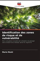 Mario Monti - Identification des zones de risque et de vulnérabilité