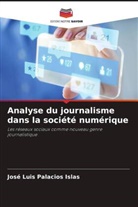 José Luis Palacios Islas - Analyse du journalisme dans la société numérique