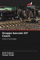 Sanjay Singh, Amit Suhane - Gruppo boccole ICF Coach