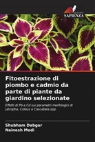Shubham Dabgar, Nainesh Modi - Fitoestrazione di piombo e cadmio da parte di piante da giardino selezionate