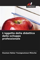 Ousman Nahar Youngoumoun Mimche - L'oggetto della didattica dello sviluppo professionale
