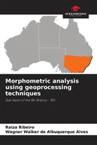 Wagner Walker de Albuquerque Alves, Raiza Ribeiro - Morphometric analysis using geoprocessing techniques