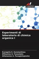 Efthymios G. Fasoulakis, Evangelia K. Konstantinou, Athanasios A. Panagiotopoulos - Esperimenti di laboratorio di chimica organica I