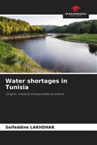 Seifeddine Lakhdhar - Water shortages in Tunisia