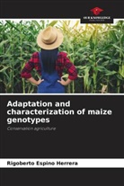 Rigoberto Espino Herrera - Adaptation and characterization of maize genotypes