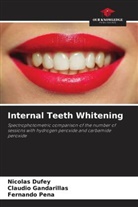 Nicolás Dufey, Claudio Gandarillas, Fernando Peña - Internal Teeth Whitening