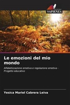 Yesica Mariel Cabrera Leiva - Le emozioni del mio mondo