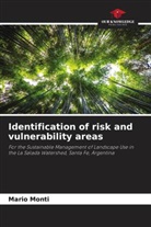 Mario Monti - Identification of risk and vulnerability areas