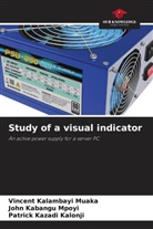 John Kabangu Mpoyi, Vincent Kalambayi Muaka, Patrick Kazadi Kalonji - Study of a visual indicator