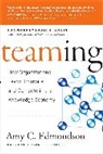 Amy C Edmondson, Amy C. Edmondson, Edmondson Amy C., Edgar H Schein, Edgar H. Schein - The Learning Challenge